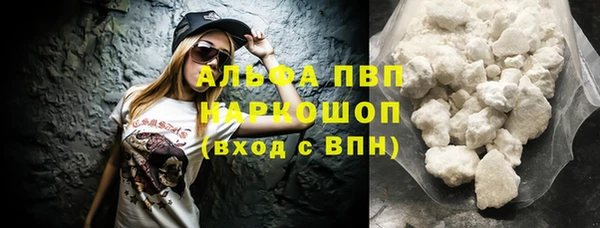 гашик Алексин