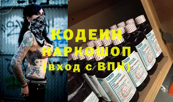 гашик Алексин