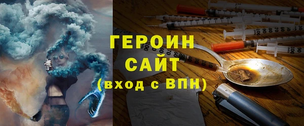 гашик Алексин