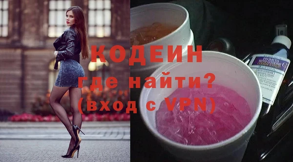 гашик Алексин