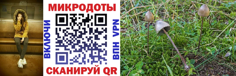 Псилоцибиновые грибы прущие грибы Копейск